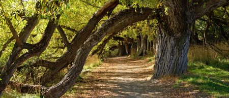 Let the Journey Begin